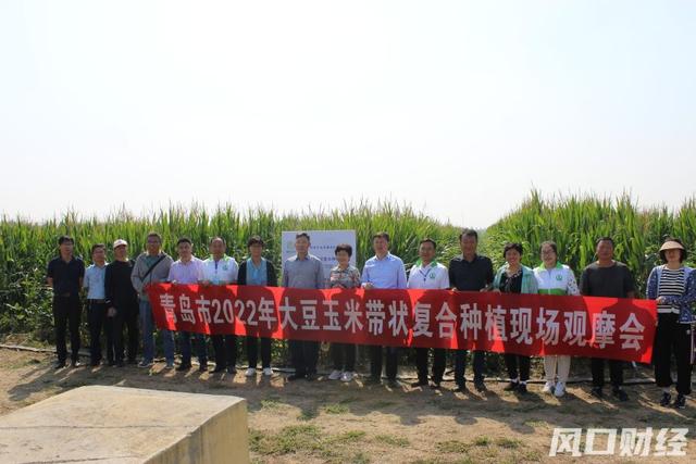 哪种大豆适合青岛种植？滴灌水肥一体化能增产多少？青岛举行秋季农作物新品种新技术观摩会