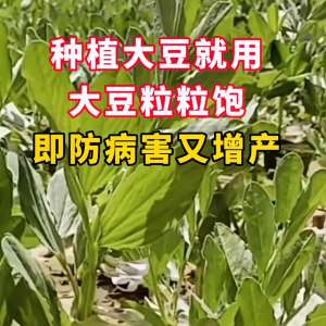 大豆种植视频(种植大豆就用大豆粒粒饱 #豆类通通可以用#大豆)