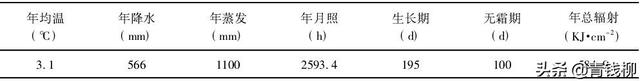 油用牡丹( 紫斑系列) 播种育苗技术