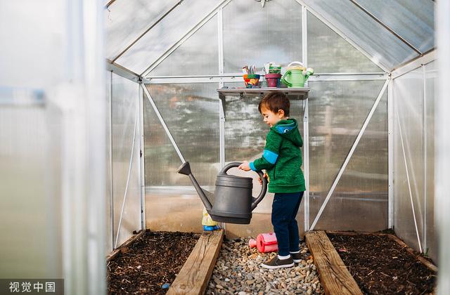 绿色家园的守护者——幼儿园植物节活动方案