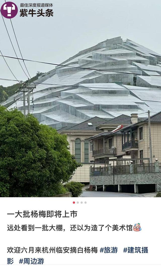 【紫牛头条】杨梅大棚科幻造型引来建筑师纷纷打卡，果农：很实用，增收了好几倍