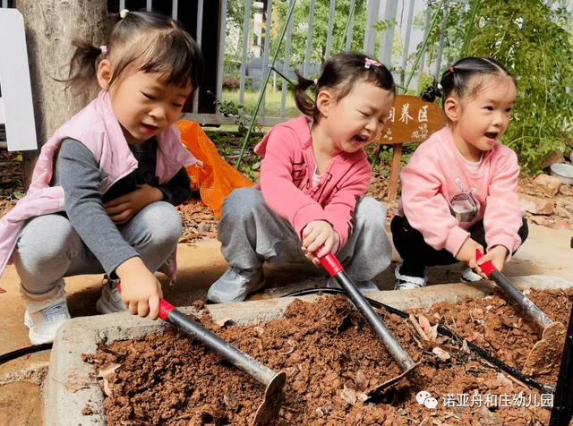 秋风起，秋种起——诺亚舟和庄幼儿园秋季种植活动之播种篇