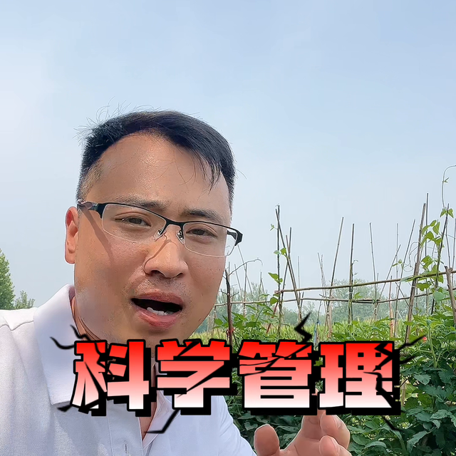 辣椒高产不得病的秘诀#农业种植技术