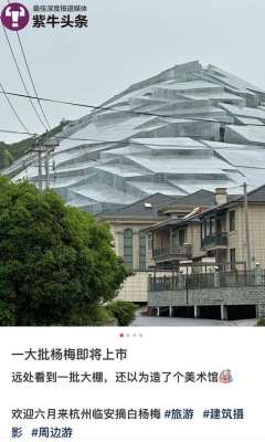 杨梅种植技术视频(【紫牛头条】杨梅大棚科幻造型引来建筑师纷纷打卡，果农：很实用，增收了好几倍)