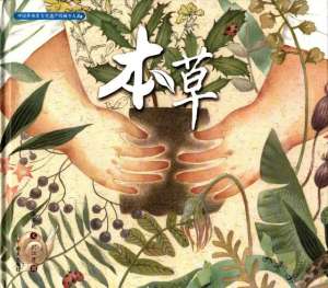 药材种植类小说(童书湃｜认识中草药，这些原创绘本很适合给孩子看)