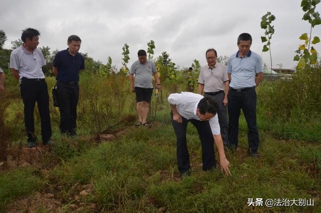 法院扶贫干部牵线搭桥，麻城脱贫工作新添市场主体