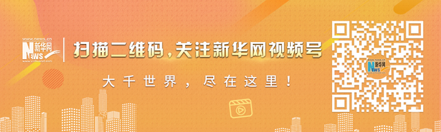 听说阳台种菜火了？网友：我的农耕DNA动了