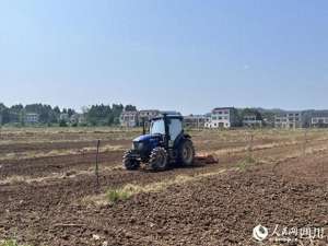 四川能种植开心果嘛(四川资阳：依托成渝地区双城经济圈发展机遇 打造成渝绿色食品供给基地)