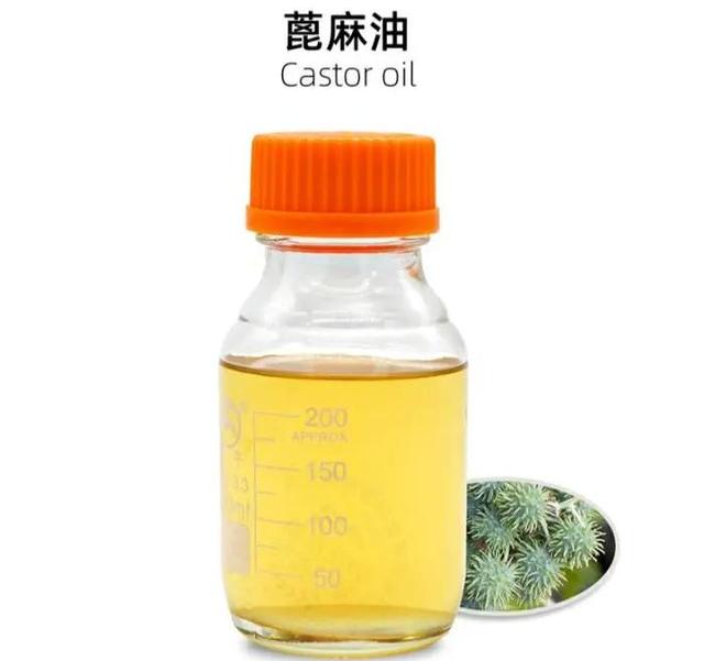 外来物种蓖麻，0.2mg毒素即可致命，很多人小时候玩过