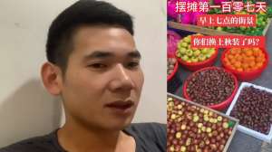 盆栽沙糖桔种植视频(摆摊卖水果三个月了要从新调整了，没钱赚#原创视频)