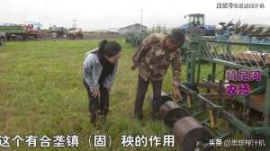 赤勺的种植(内蒙古呼伦贝尔资粮道地：现代农业规范种植赤芍，环保经济双赢)