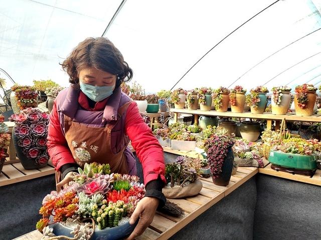 太原晋源年宵花卉迎来热销季