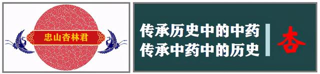 关于枸杞，还有这些你不知道的事情