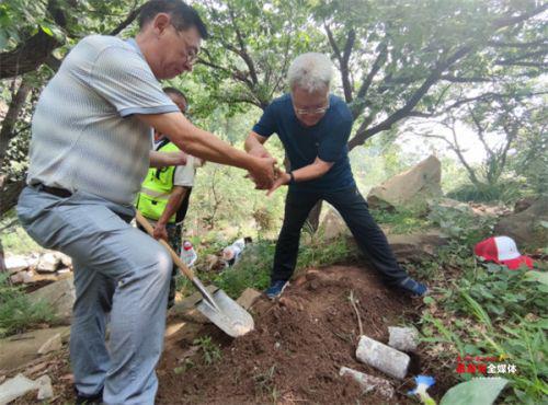 泰山赤灵芝菌包首次大规模“反哺”泰山