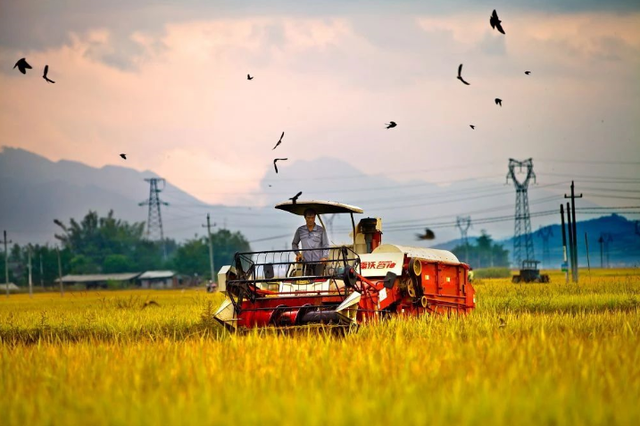 美国农场淘汰除草剂，采用机器人激光除草技术，中国是否值得效仿