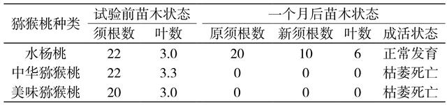 湖南省重点研发计划项目盆景用猕猴桃的品种选择及栽培方法