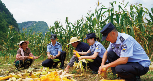 “秋收警务”模式已开启！