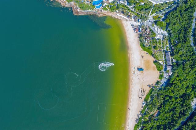 500株软体珊瑚“落户”珠海万山海域，共同维护海洋生物多样性