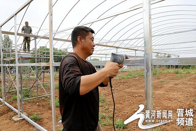 高平市东城办沟北村：建设特色果蔬大棚 赋能乡村振兴