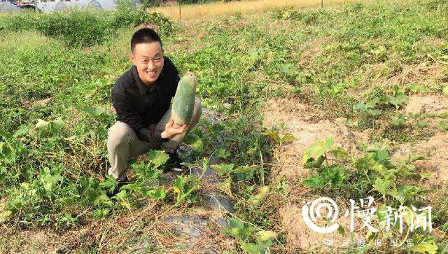 璧山小伙大学毕业扎根农村6年，种出“水果冬瓜”带村民致富