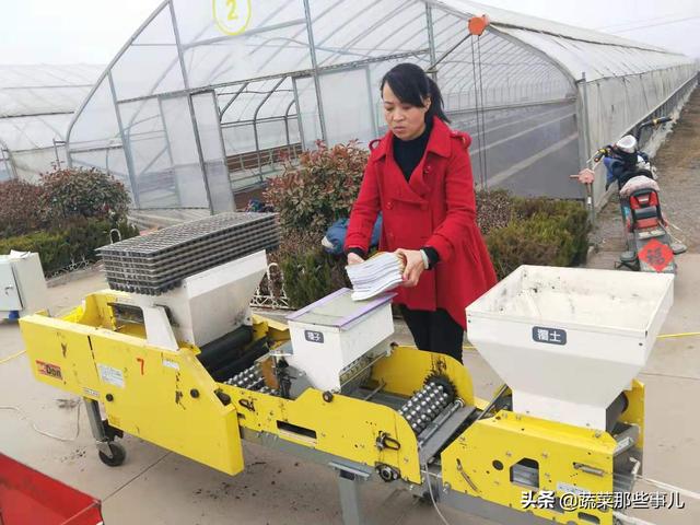 大葱种植找工难、用工贵，咋解决？