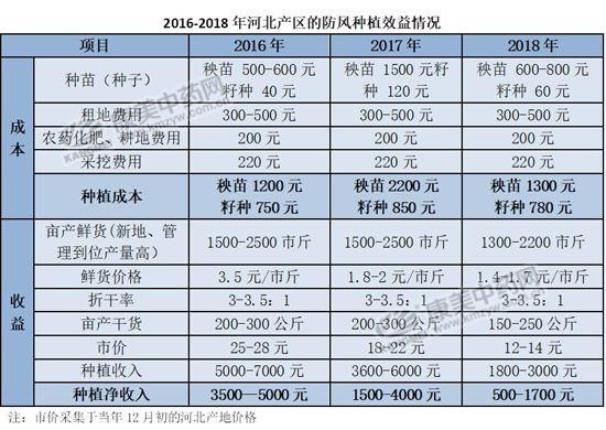 中药材防风的种植效益如何？