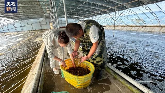 开 启 秋 日 限 定 色