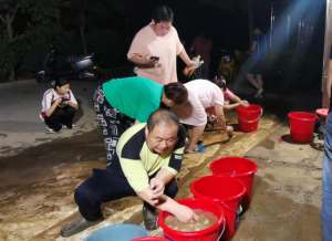 商丘适合种植什么药材(禹州市方岗镇：“金蝉”成新宠，年摸上百吨)