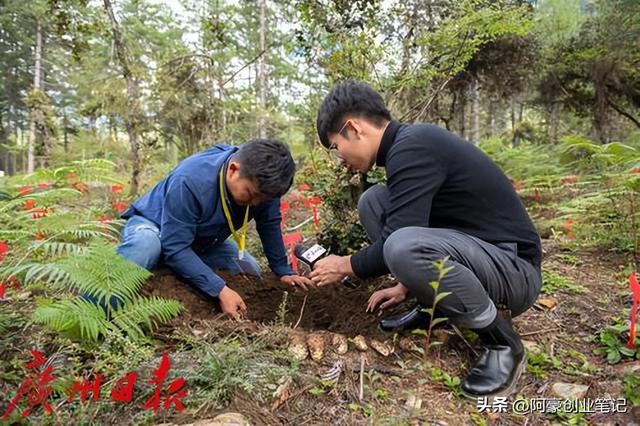 投资只要10000元，每年就赚35万？农村低成本暴利种植项目！