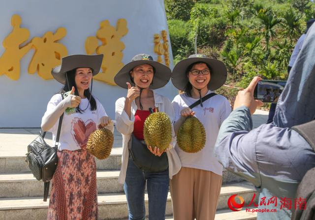 海南三亚国产“树上熟”榴莲迎来采摘期