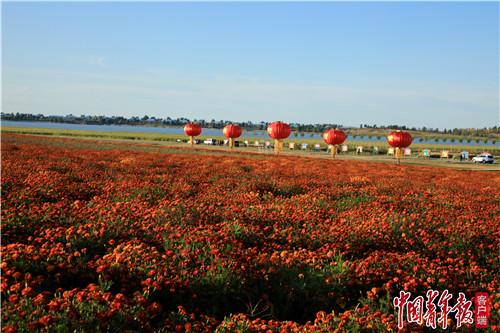 走绿色发展之路 查干湖生态保护“金字招牌”越来越美