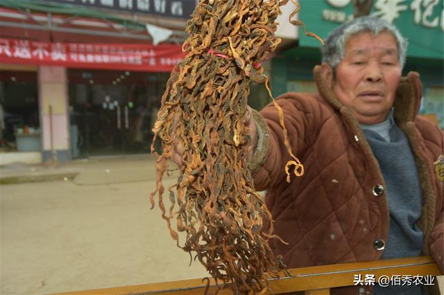 脱水蔬菜风味独特效益高，制作也很简单，农村人为啥不大力发展？