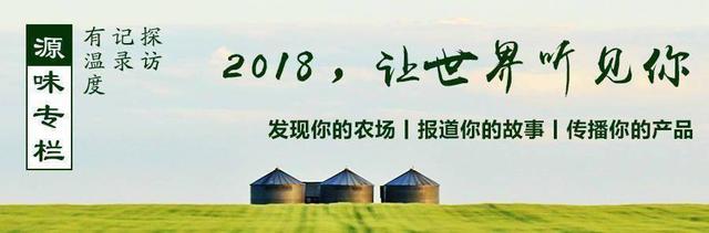 走进褚橙基地，探寻褚橙从600亩到40000亩品质如一的秘密！