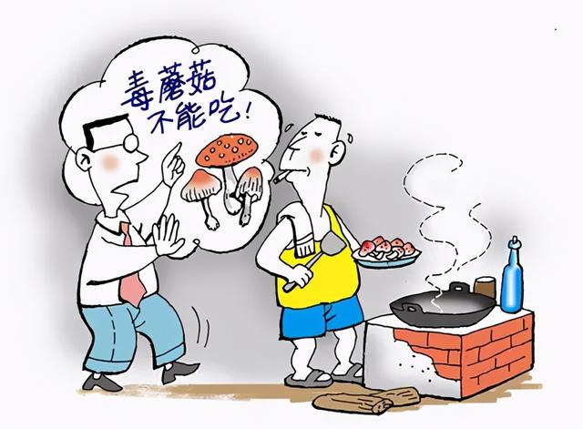 想吃“野生蘑菇”，你准备好“躺板板”了没？