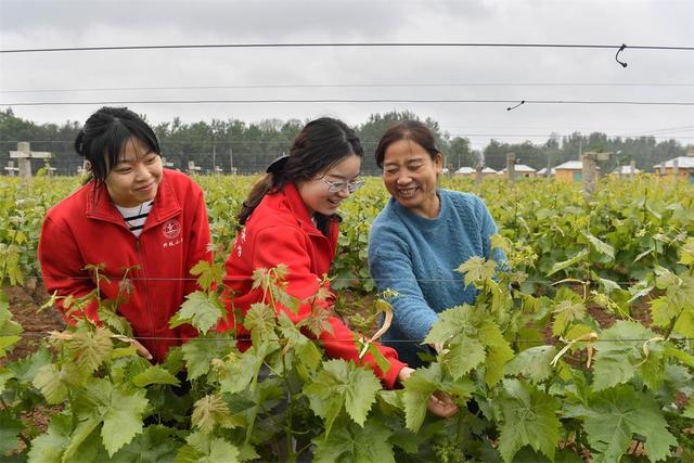 扎根乡野解民生治学问——中国农业大学科技小院教学实践见闻