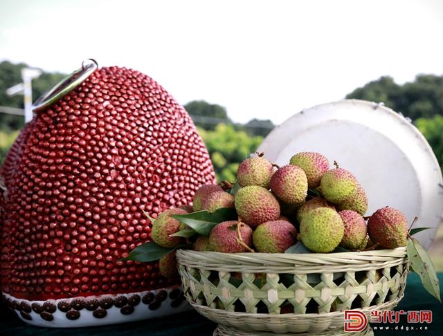 香满天下，荔在灵山——2023广西灵山荔枝文化旅游节鸣锣开场