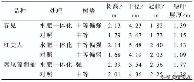 低山丘陵柑橘园水肥一体化技术应用试验