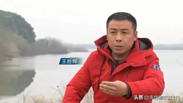 北方老农鏖战南方商海，靠一个小点子年赚千万！