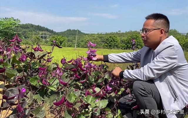 六月份种什么菜蔬菜最合适？这7种蔬菜，生长周期短产量高