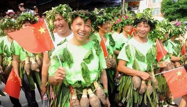 要想芋头种植产量大、品质高、收益好，这些种植管理技巧要知道