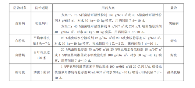 苦瓜的全套种植技术，这样种出的苦瓜产量高、品质优、营养还丰富