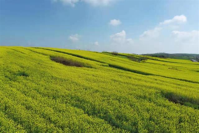 “襄”约春天赏百花，赏花采摘线路赶紧收藏