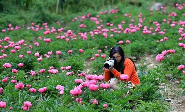 “襄”约春天赏百花，赏花采摘线路赶紧收藏