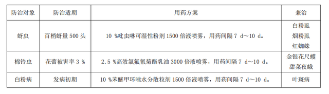 金银花从种到收全套技术，简单易懂一看就会