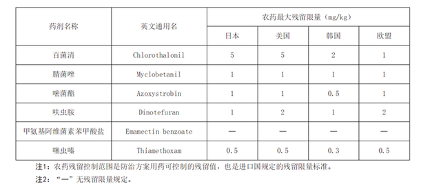 苦瓜的全套种植技术，这样种出的苦瓜产量高、品质优、营养还丰富