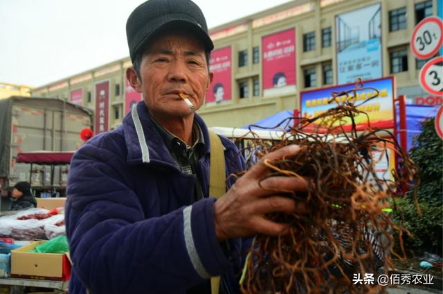 脱水蔬菜风味独特效益高，制作也很简单，农村人为啥不大力发展？