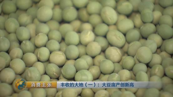 大豆里的“新商机”：改种新品种大豆 农户百亩地多赚数万块