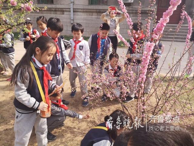 春天来了！发现植物的秘密