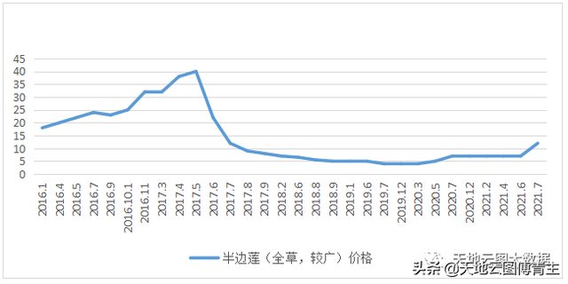 中药原料评测 ∣半边莲产新减产，低价触底反弹