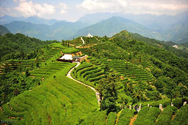 平地，缓坡地，陡坡地的茶园如何开垦，有哪些注意事项